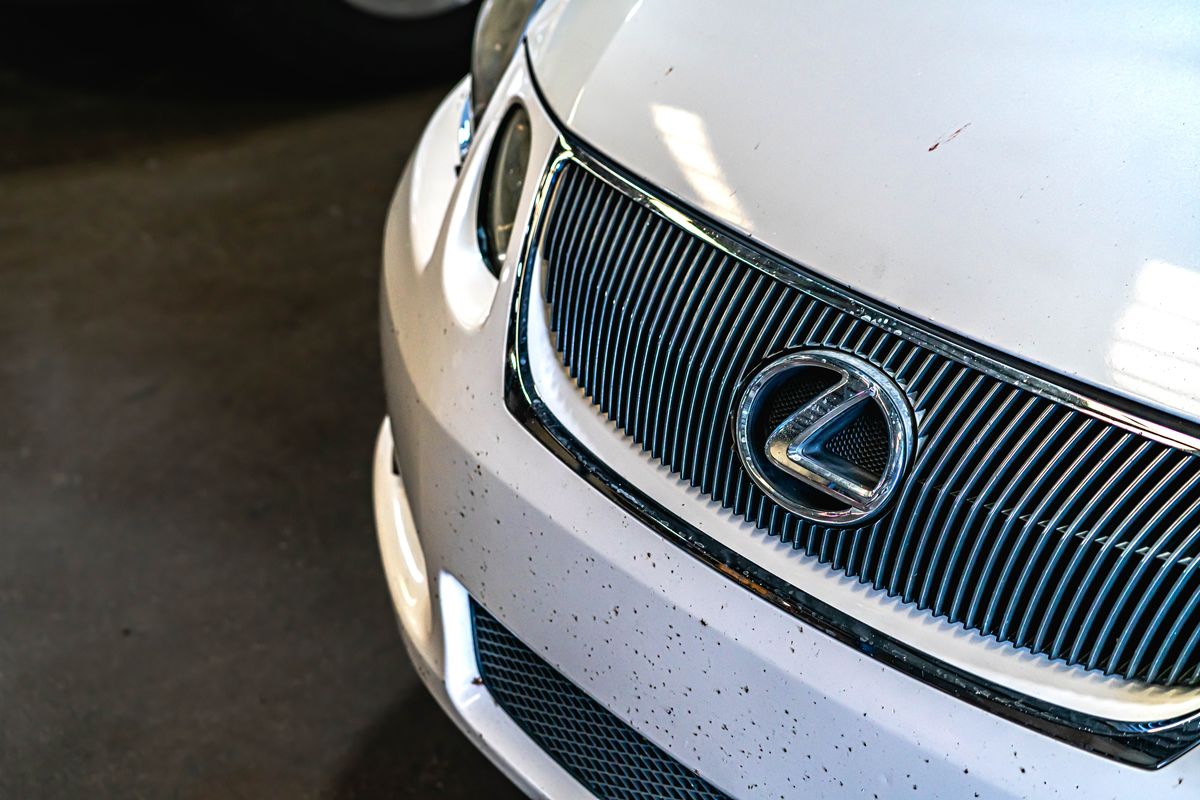 Lexus spindle grille
